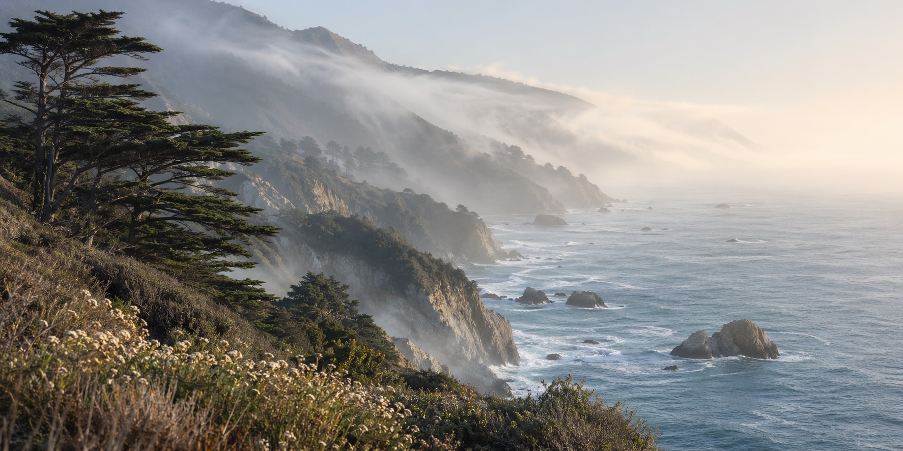 Mist moving over the Big Sur coastline, trees, and the Pacific Ocean.